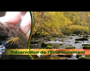 Pêche et protection du milieu aquatique en Haute-Vienne