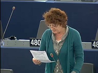 L'UE post-Lisbonne: un garde-fou pour les droits de l'Homme