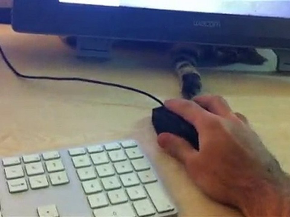 Başımın belası kedi