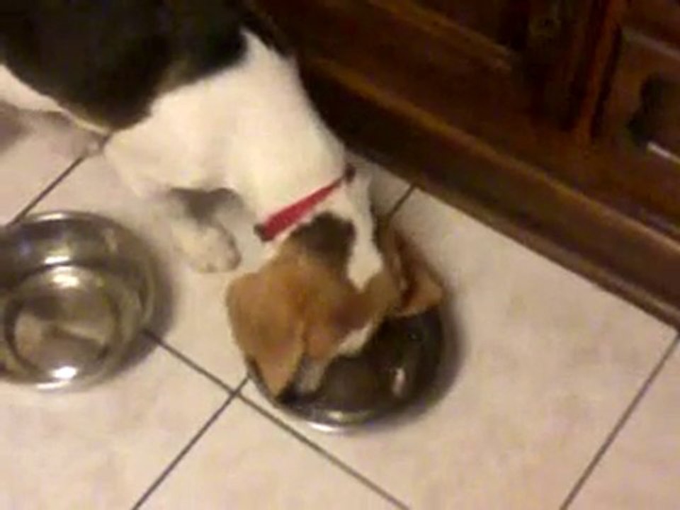 Vidéo0019