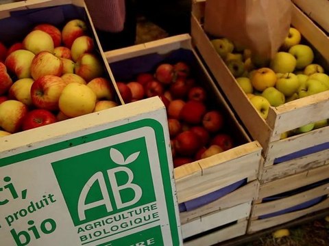 Marché Bio de Neuvy-Saint-Sépulchre, du terroir dans mon assiette - Le Berry
