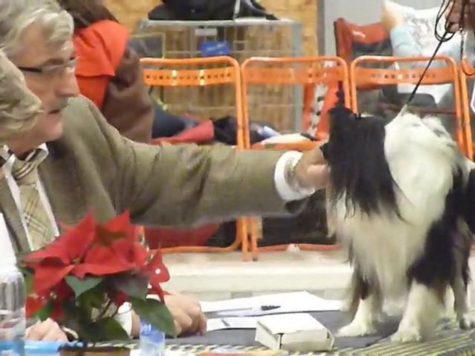 Exposition de kenzo à nantes le 12 décembre à nantes en clas