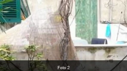 Bilocale Mq:80 a Genova Via San Luca Nº Agenzia:Servizi Imm