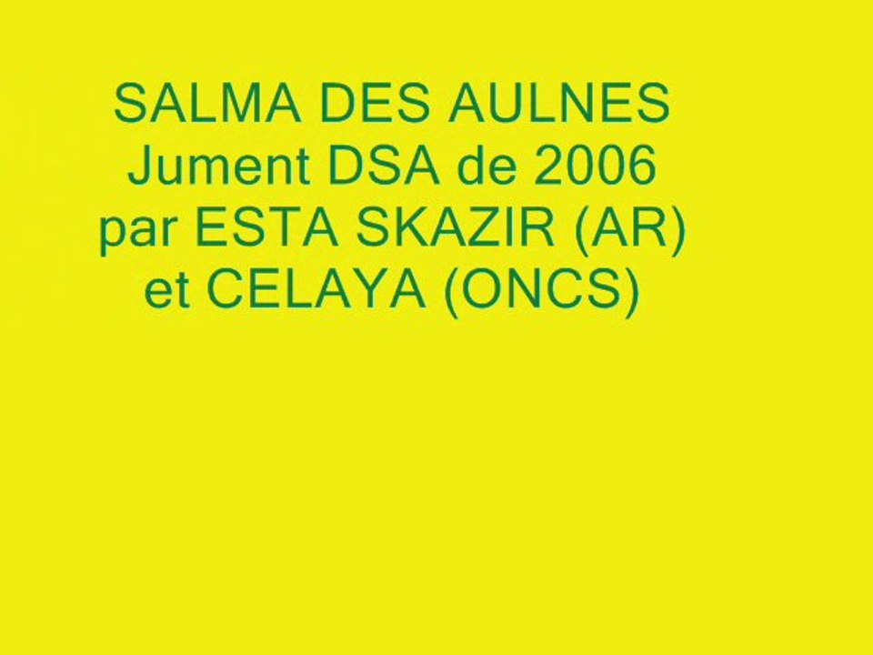 SALMA DES AULNES