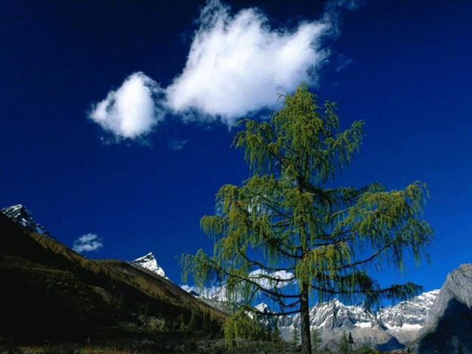 cuida_la_tierra