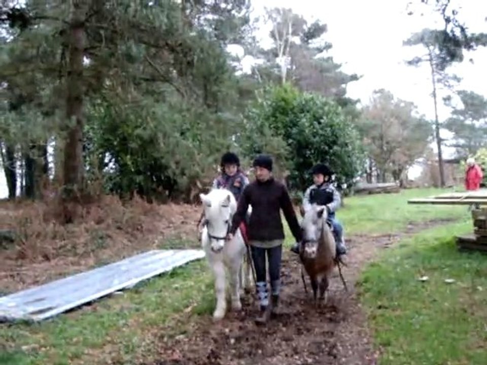 Maxime et le poney