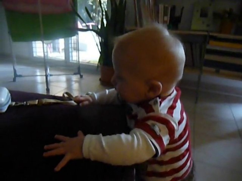Samuel nov 10 suite