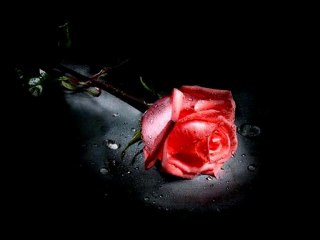 bir can istiyorsan beni götür azrailll enkaz trabel