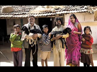 Watch peepli live Online - peepli live Download Movie