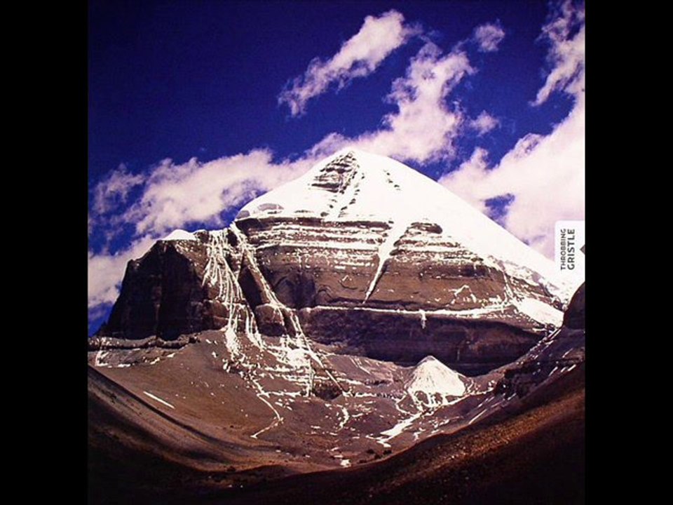 Throbbing Gristle - The Worm Waits Its Turn