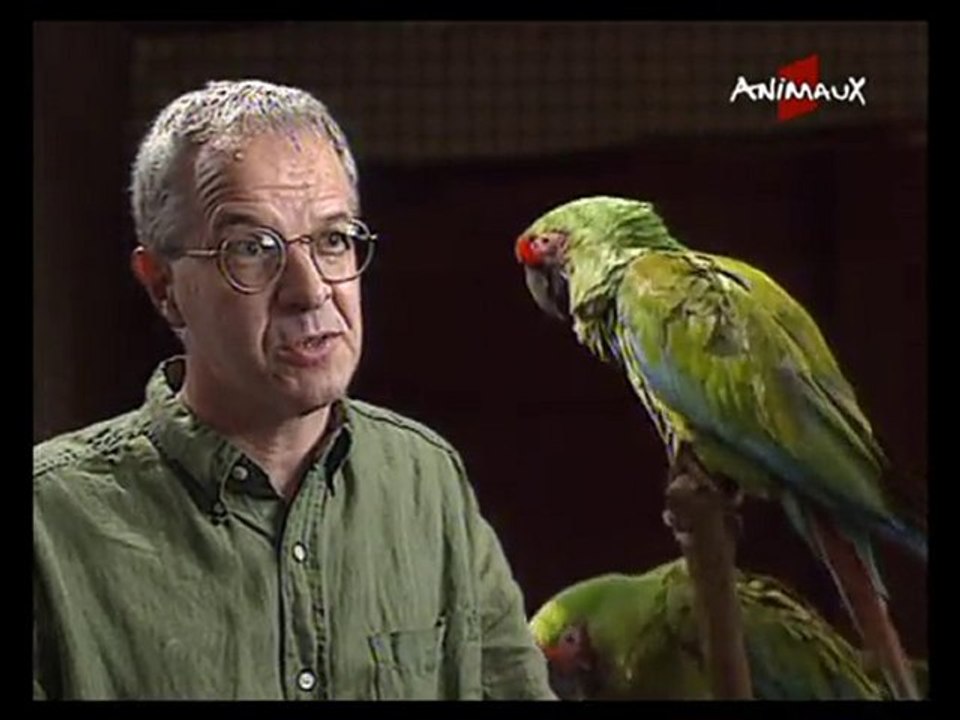 ANIMAUX(101126_1745)