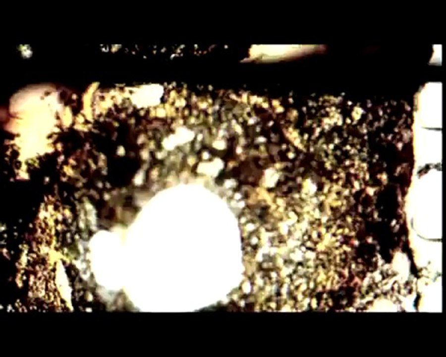 Hande Yener - Hayrola