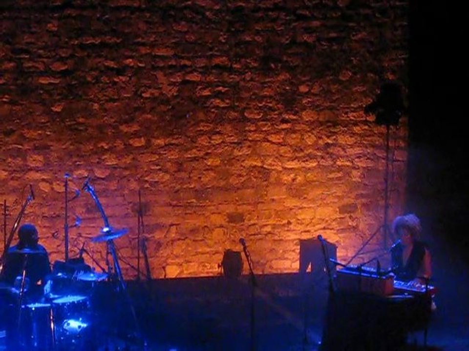 martina topley bird, orchids , en concert, live,2010