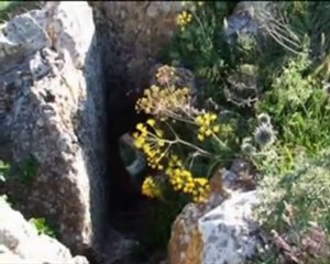 Ruines romaines de Taougrit ex Paul Robert, 1ère partie