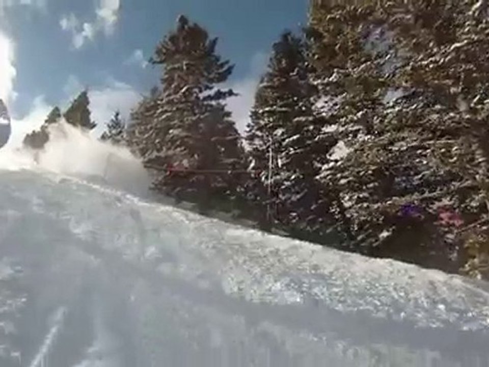 Shredd