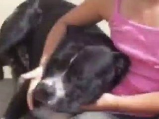 Inglewood Tribute(hommage)