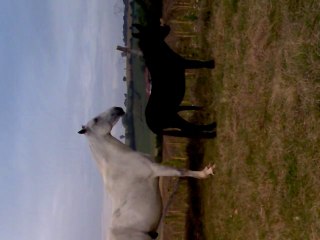 paso et uvalou, uvalou en forme....je vs laisse admirer mdr