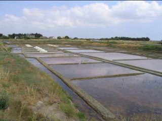 Marais-Salants