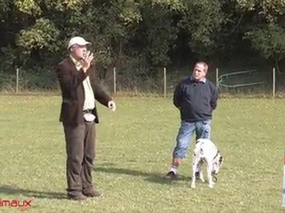 Bilan pour Blitz : très stable et sociable!