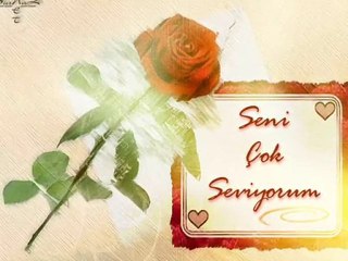 orhan ölmez - seni seviyorum