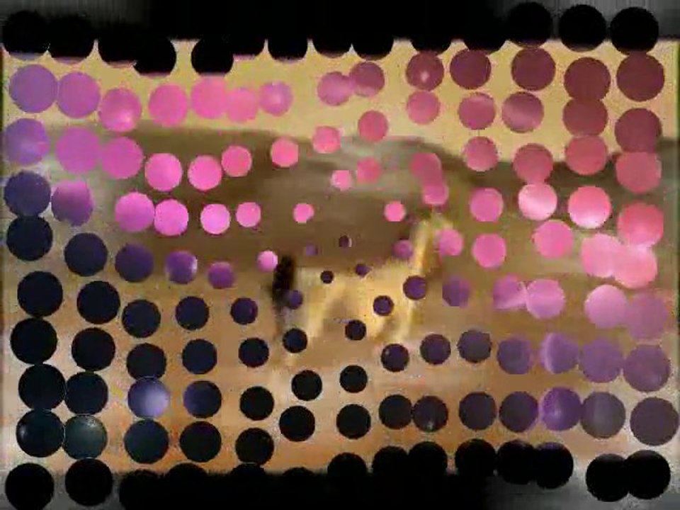 Chris Spheeris - Dancing with the muse