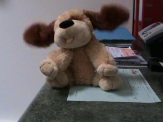 Le Chien en peluche qui danse