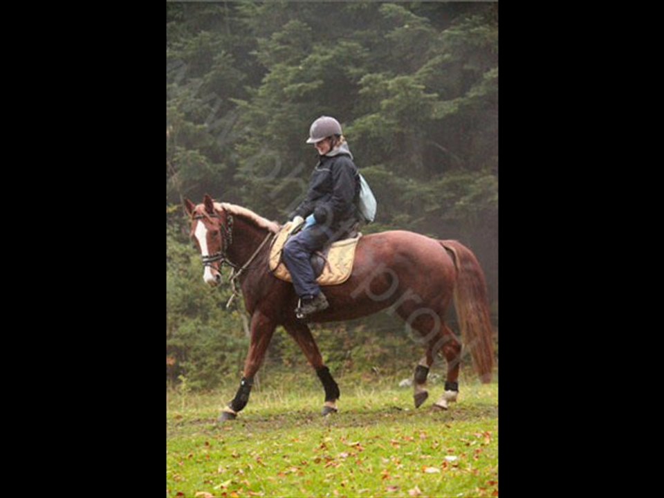 Franche Equi Trail 2010