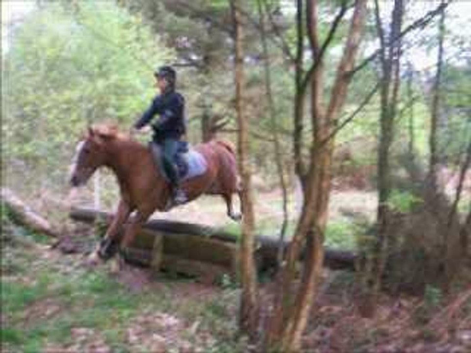 Remy et Hidalgo d'Fontaine au cross