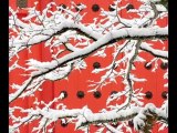 Art Wolfe Discusses Epson Velvet Fine Art Paper