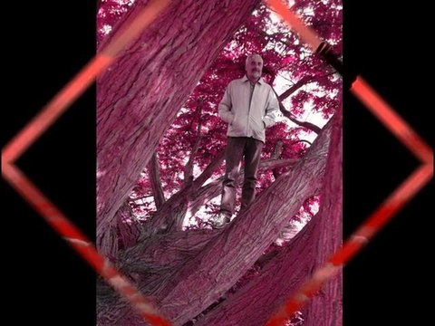 göklerde kartal gibiydim