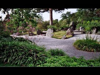 Meditation As Medication Medication Meditation