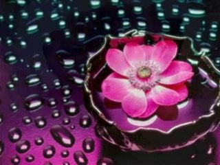 GELİNCİK    intizaR