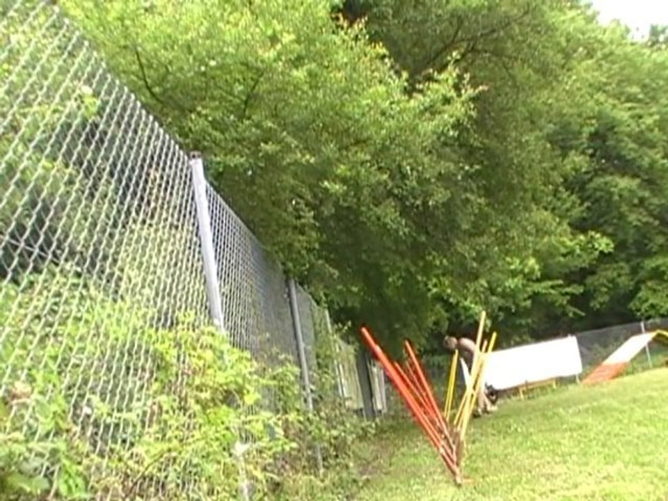 Easy dans le slalom V