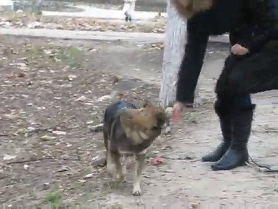 Батя и Веселуха
