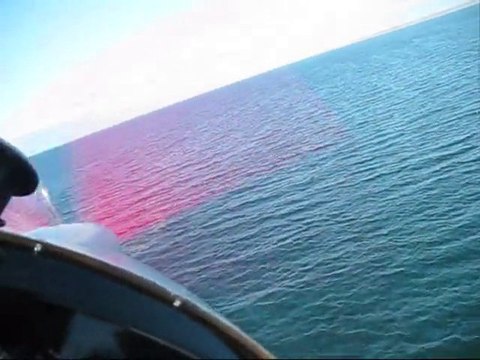 ULM à Granville chasse aux canards 1