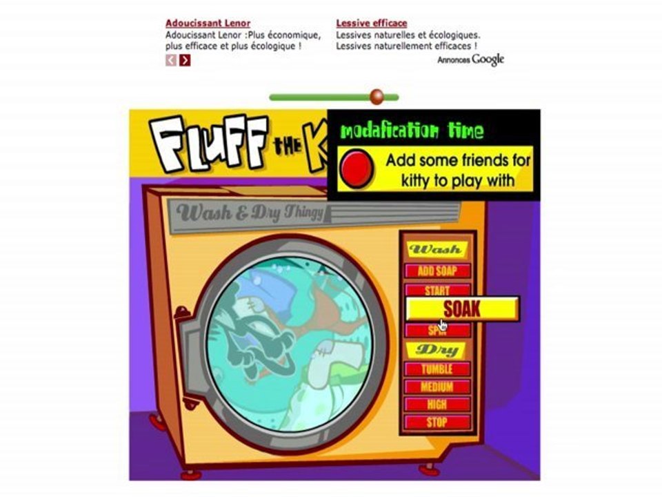 Jeu de chat dans une machine à laver