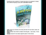 Lotto Master Formula