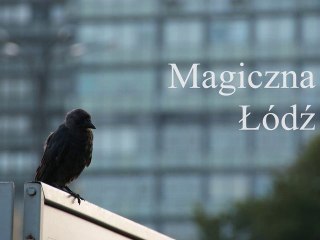 Magiczna Łódź