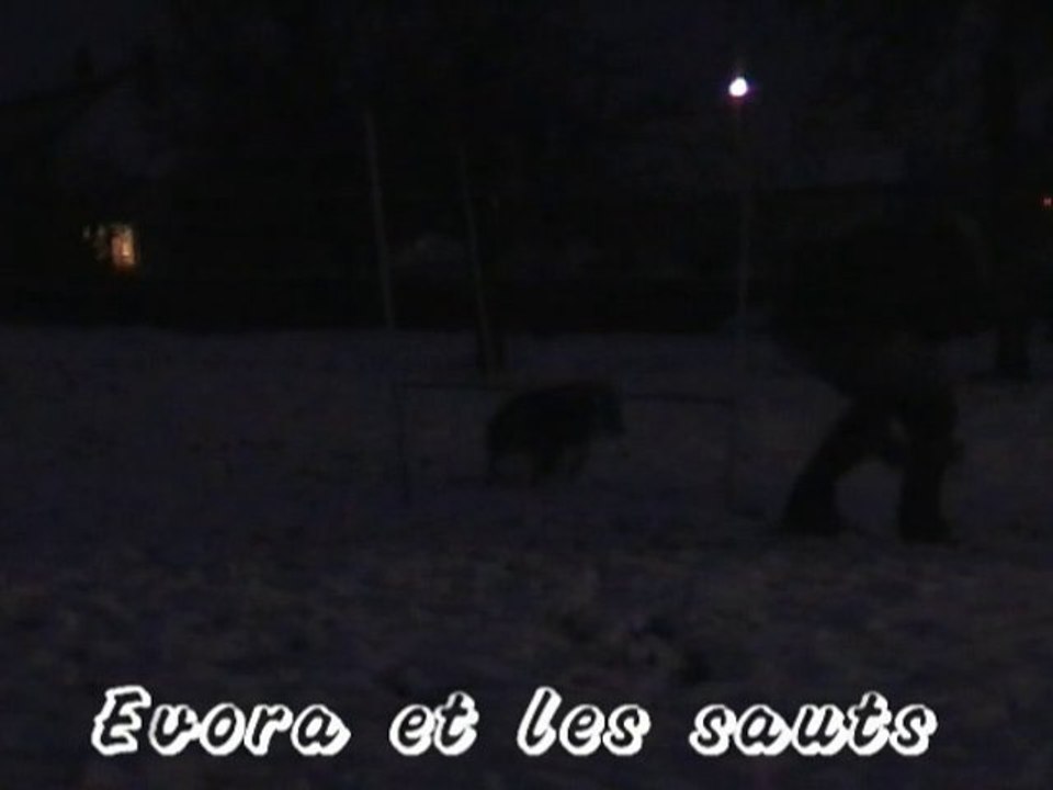 14/12/2010 Evora reprend confiance sur les sauts