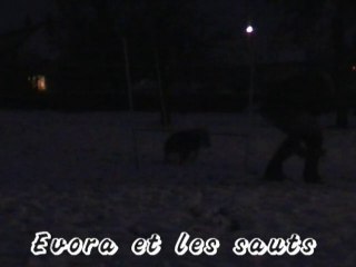 14/12/2010 Evora reprend confiance sur les sauts