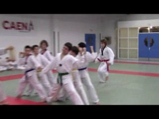 Techniques "Casses" par Caen Taekwondo Académie