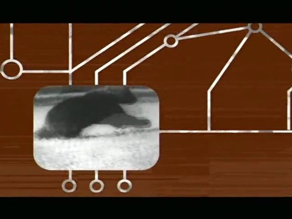 Hardfloor - I Can`t Complain