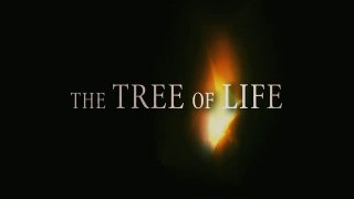 The Tree Of Life (Bande-annonce 1 HD) {VO}