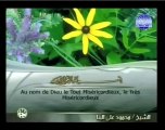 112. Al-ikhlâs - Le monothéisme pur