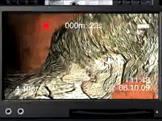 Camera inspection video