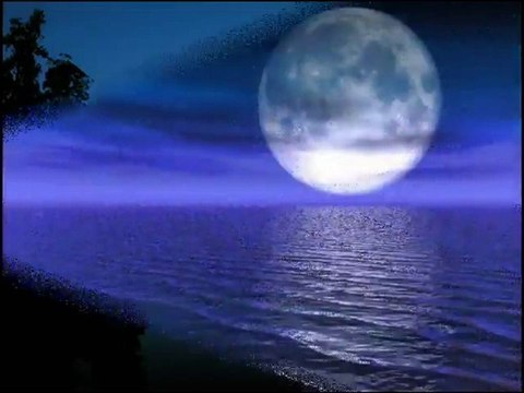 Νίκος Παπάζογλου - Εγώ Δεν Είμαι Ποιητής