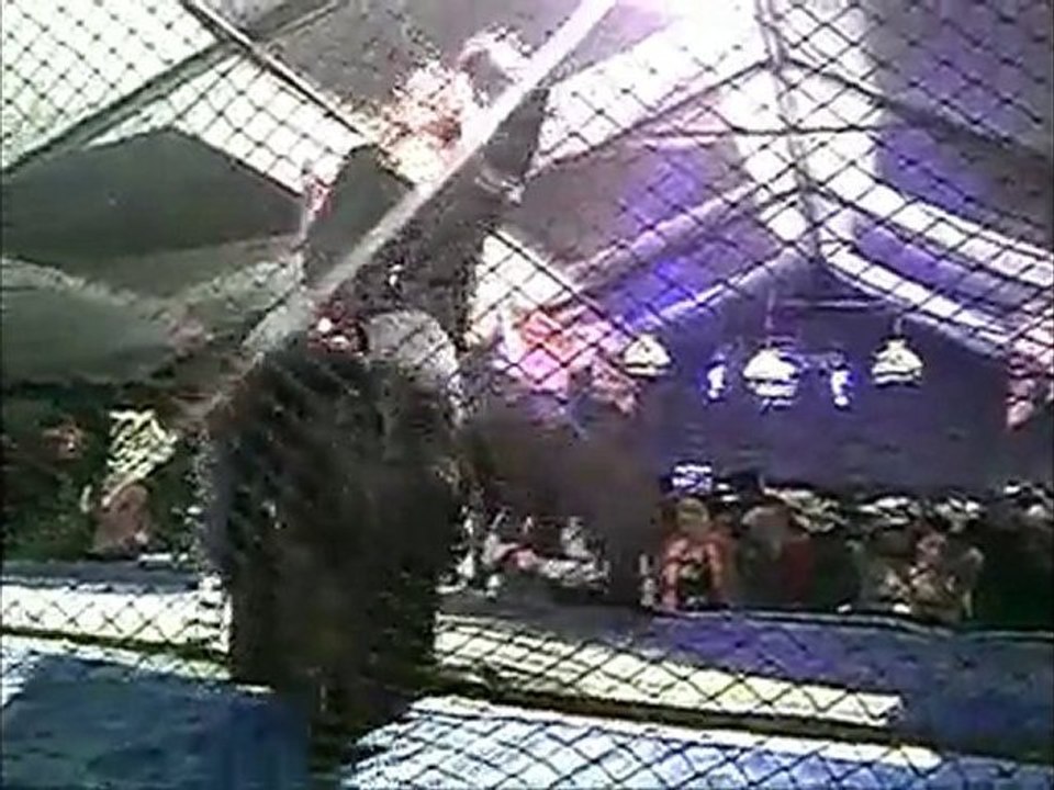 Bullriding at the National Finals Rodeo 2010 Las Vegas