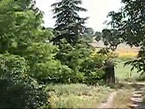 Ilkay Akkaya -YARİM YARİM