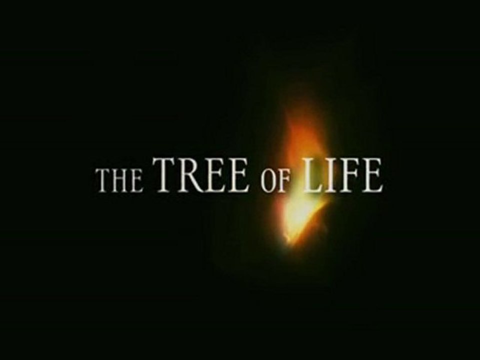 The Tree of Life [Trailer]