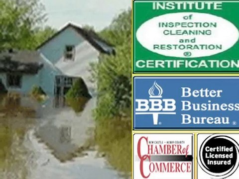 Mold Damage Remediation, Cleaning, Testing | Anderson, IN